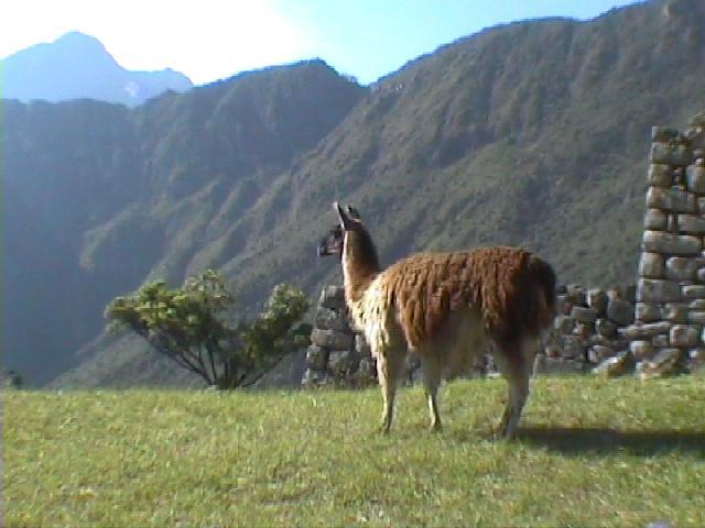 Peru and Bolivia