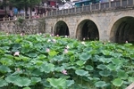 Jihua shan (China)