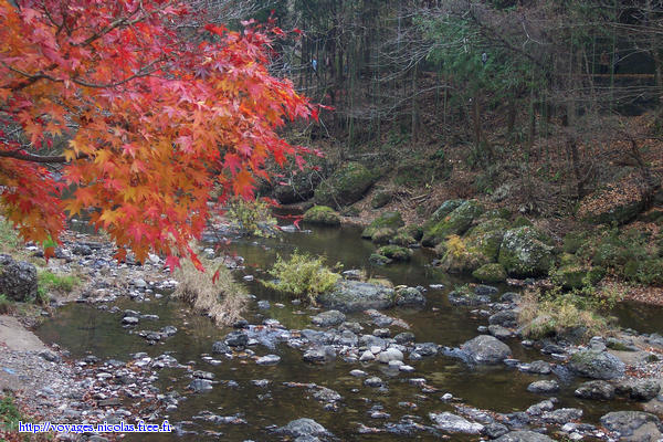 Autumn in Fukuroda