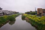 Ushiku_Pond (dcp_4583.jpg)