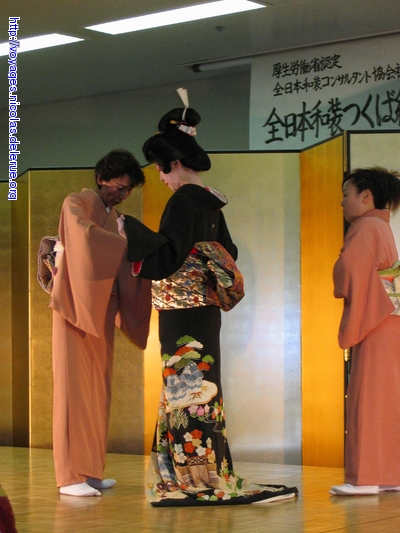 A Geisha wearing a Kimono