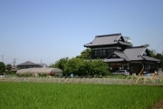 Japanese traditional house (rice_fields_0048.jpg)