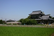 Japanese traditional house (rice_fields_0049.jpg)