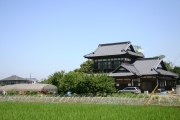 Japanese traditional house (rice_fields_0050.jpg)