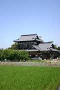 Japanese traditional house (rice_fields_0051.jpg)