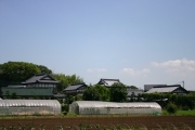 Japanese traditional house (rice_fields_0053.jpg)