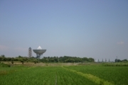 Radio telescope at Tsukuba geographical survey (rice_fields_0060.jpg)