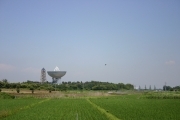 Radio telescope at Tsukuba geographical survey (rice_fields_0066.jpg)