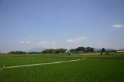 Mount Tsukuba (far) (rice_fields_0081.jpg)
