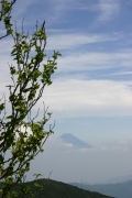 Mount Fuji (kimpu_san_0139.jpg)