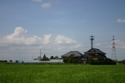 Japanese house near rice fields (narita_tsukuba_4476.jpg)