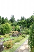 Japanese garden (narita_tsukuba_4489.jpg)