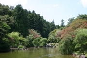 Japanese style garden near the temple (Naritasan_4903.jpg)