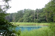 Blue lake (Bandai_san_go_shiki_numa_5043.jpg)
