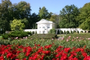 The rosarium in front of the hotel (Hotel_Baden_7279.jpg)
