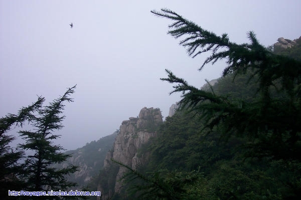 Tai shan (China)
